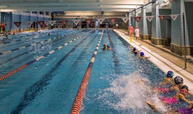 Le piscine storiche di Bari: chiuse Payton e Delfini, resistono Cus e Stadio del Nuoto